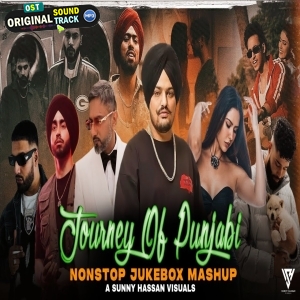 Journey Of Punjabi 30 Minutes Nonstop Mashup 2024 - Sunny Hassan
