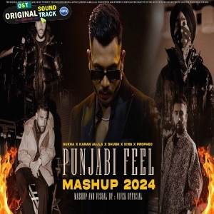 Punjabi Feel Mashup 2024 - Vivek Official