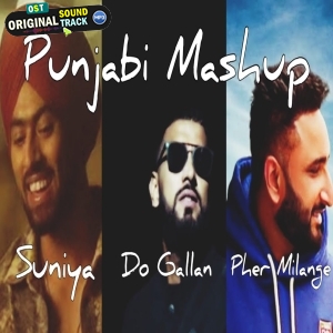 Suniya X Do Gallan X Apa Fer Milanlge Punjabi Mashup Dj Synchronic