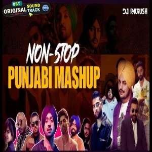 Nonstop Punjabi Mashup 2024 - DJ Paurush