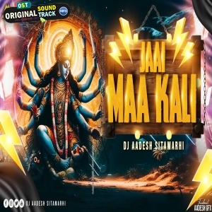 Jai Maa Kali Remix - DJ Aadesh