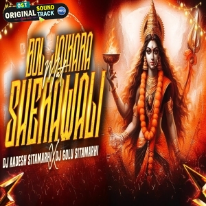 Bol Jaikara Mat Sherawali Ka Bhakti Mix - Dj Aadesh