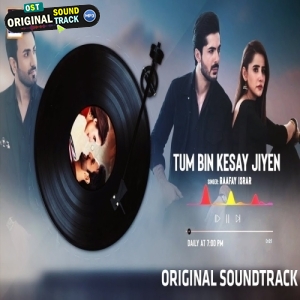 Tum Bin Kesay Jiyen - Raafay Israr