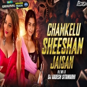 Chamkelu Sisa Jaisan I Love Mix Dj Aadesh