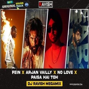 Fein X Arjan Vailly X No Love X Paisa Hai Toh - Troll Edit Megamix - DJ Ravish