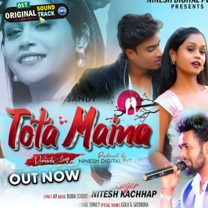 Tota Kar Jaan Base Maina Mein - Nitesh Kachhap