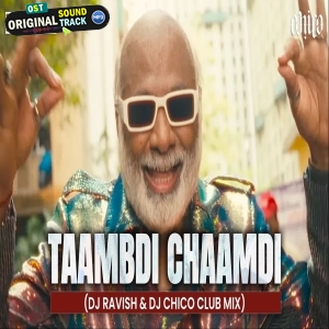 Taambdi Chaamdi Troll Edit Club Mix DJ Ravish x DJ Chico
