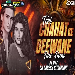Teri chahat ke DiwaneHue Hum Remix Dj Aadesh