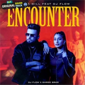 Encounter - DJ Flow, Sarika Gill