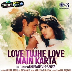Love Tujhe Love Main Karta (Lofi Mix)