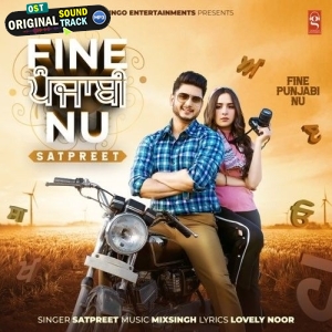 Fine Punjabi Nu - Satpreet