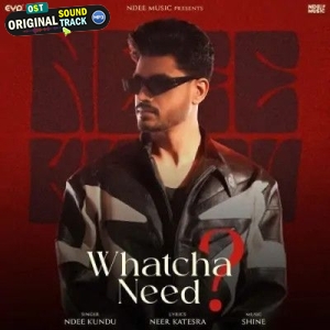 Whatcha Need - Ndee Kundu