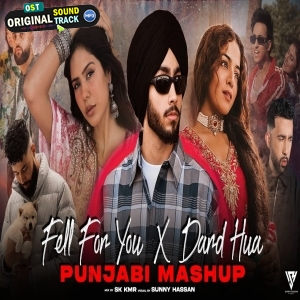 Fell For You X Dard Hua Punjabi Mashup 2025 VDJ Sunny