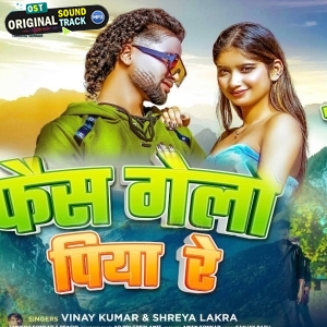 Fais Gelo Piya Re Moy Mithi Mithi Baat Mein - Vinay Kumar