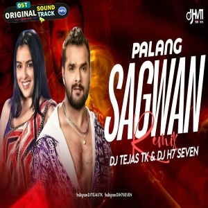 Palang Sagwan Ke - DJ Tejas TK X DJ H7 Seven