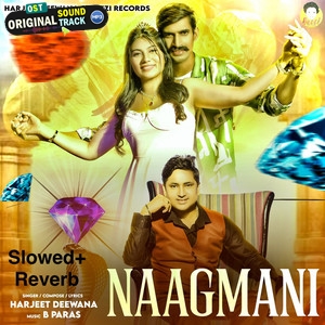 Seene Se Laga Ke Rakhu - Harjeet Deewana
