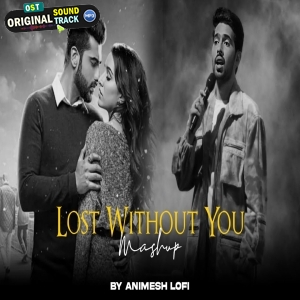 Lost Without You Emotions Chillout Lofi Mashup Animesh