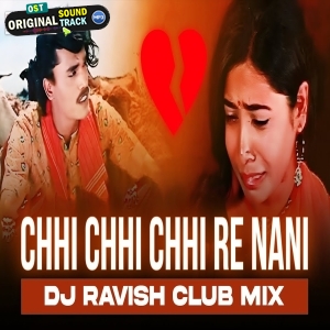 Chhi Chhi Chhi Re Nani Club Mix DJ Ravish
