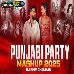Punjabi Party Mashup 2025 - Dj Shiv Chauhan