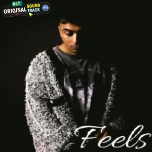 Feels - Gurinder Gill