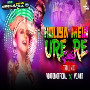 Holiya Mein Ude Re Gulal - TROLL MIX Vdj Tom Official