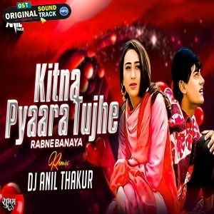 Kitna Pyara Tujhe Rab Ne Banaya Remix Dj Anil Thakur