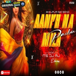 Aankh Na Mila Paibu Ho Remix 2025 Dj Rj