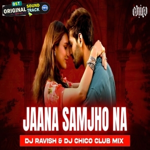 Jaana Samjho Na Club Mix Bhool Bhulaiyaa 3 DJ Ravish x DJ Chico