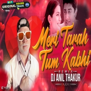 Meri Tarah Tum Bhi (Remix) Dj Anil Thakur