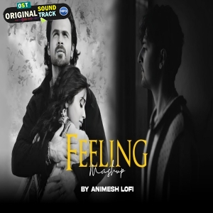 Feeling Lofi Mashup Tum Ho x Toh Phir Aao by Animesh