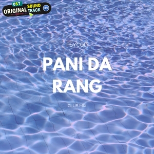 Pani Da Rang (Club Mix) - DJ PSYCOD