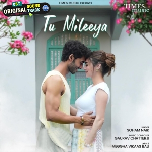 Tu Mileeya - Soham Naik