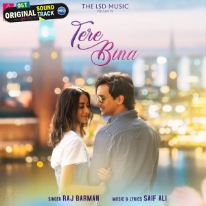 Tere Bina - Raj Barman