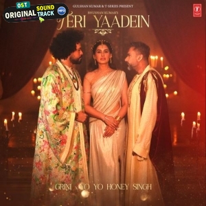 Teri Yaadein - Yo Yo Honey Singh, Grini
