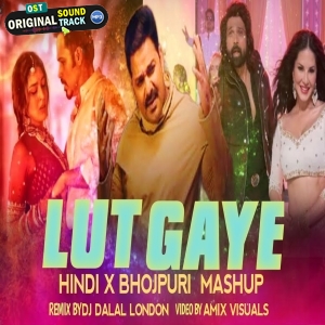 Lut Gaye Tere Ishk Mein Bhojpuri x Hindi Mashup DJ Dalal