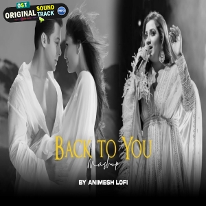 Back To You (Teri Meri x Kaun Tujhe) Lofi Mashup 2025 Animesh