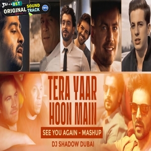 Tera Yaar hoon main x See you again (Festival Mashup)
