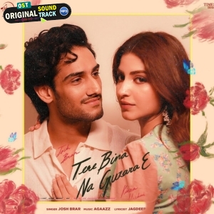 Tere Bina Na Guzara E - Josh Brar
