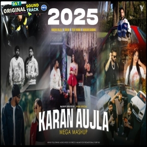 Karan Aujla Mega Mashup 2025 Vivek Official