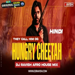 Hungry Cheetah (Hindi) Afro House Mix DJ Ravish