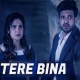 Tere Bina