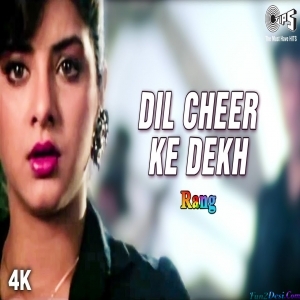 Dil Chher Ke Dekh