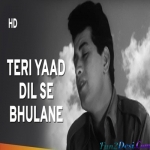 Teri Yaad Dil Se (Hariyali Aur Rasta)