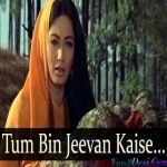 Tum Bin Jeewan - Anita