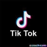 Wo Ek Bholi Si Ladki Hai Full Qawwali Tik Tok Hit