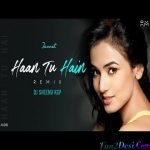 Haan Tu Hain (Remix) DJ Seenu KGP