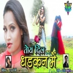 Toy Dil Kar Dhadkan Me (Love Song) - Amit