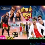 Sona Ke Phool - Robin Rangeela