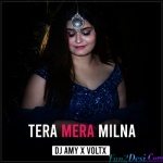 Tera Mera Milna (Remix) DJ AMY x VOLTX – Deepshikha Raina