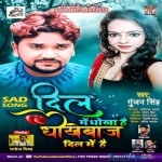 Dil Me Dhokha Hai Dhokhebaaz Dil Me Hai (Gunjan Singh)